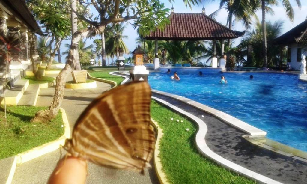Bali Sunset Hotel Negara  Екстер'єр фото